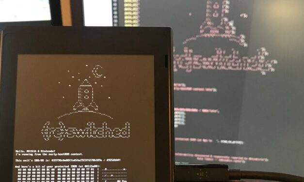 Fusée Gelée: Un Exploit Revolucionario para Nintendo Switch